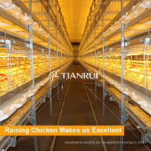 Diseño de la granja de aves de corral y jaula automática de pollo de alta calidad para la granja de Rusia